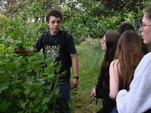 Clap de fin pour la coupe du potager dans les Hauts-de-France
