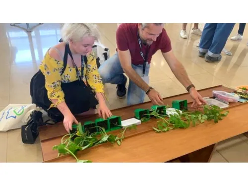 Les lycéens des Hauts-de-France peuvent s'inscrire à la Coupe du...