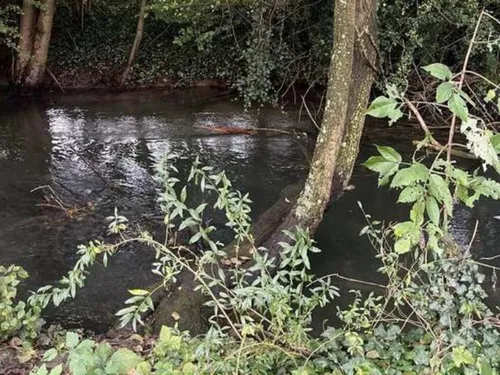 Les agriculteurs samariens redoutent les inondations