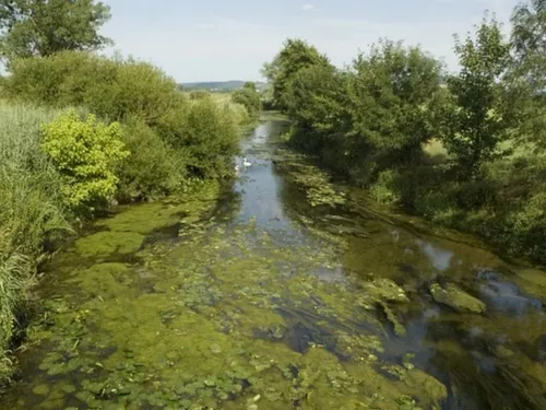 Dans les Hauts-de-France, le sol est menacé par une pollution aux...