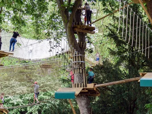 Il vaut mieux se lever tôt pour taquiner la cime des arbres à Chartres