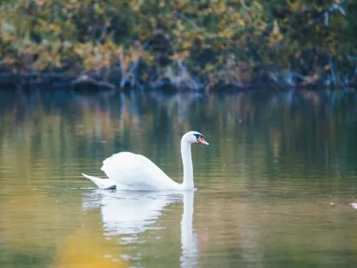 Un mois pour découvrir les zones humides de Seine-et-Marne 