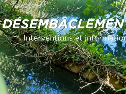 Les cours d'eau seine-et-marnais vont retrouver peu à peu leur état...