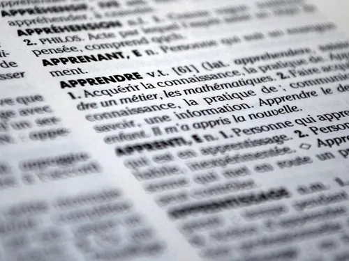 Des mots nouveaux dans vos dicos