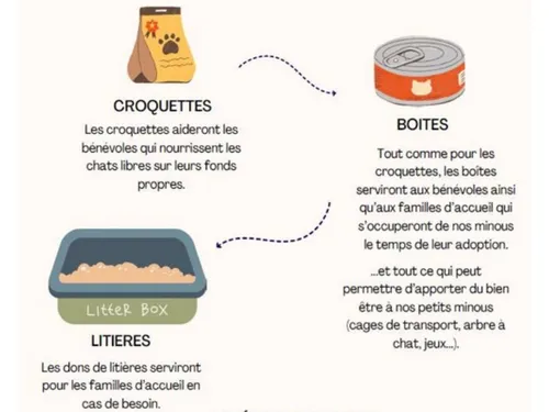 Les jeunes de Claye-Souilly mobilisés pour les animaux