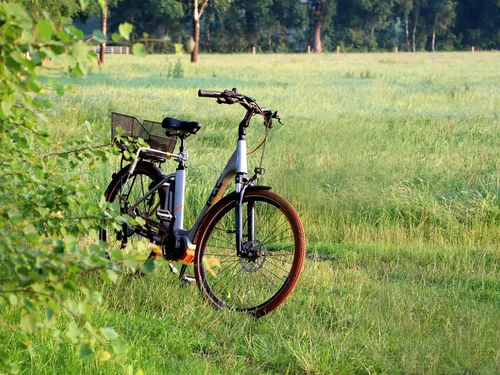 Un nouveau coup de pouce pour inciter les Essonniens à acheter un...