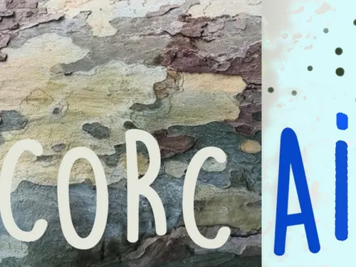 La pollution de l'air analysée par... des arbres, dans le Pays de...