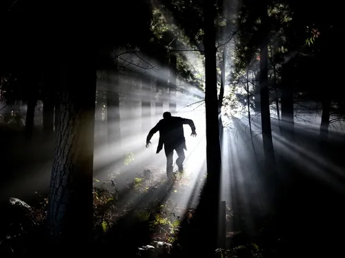 Des zombies dans le sud Seine-et-Marne