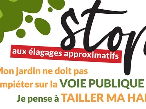 L'élagage ne doit pas être « approximatif » à Orgeval