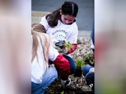 « Élève ton arbre ! » en Seine-et-Marne