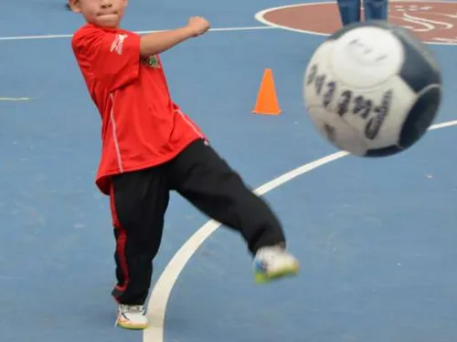 Plus de 7% des équipements sportifs se trouvent dans les écoles en...