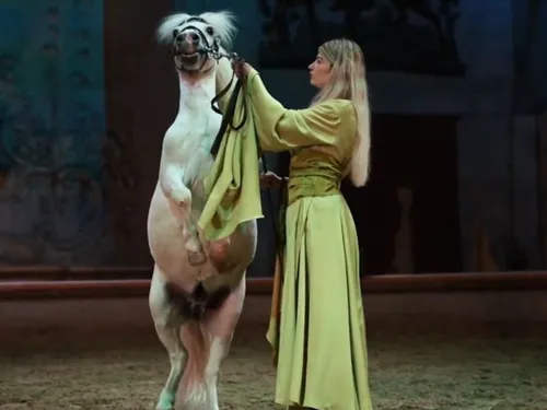 Pas question de s'ennuyer cet été dans les Hauts-de-France !