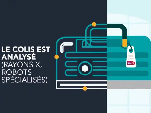 Dans les Hauts-de-France, les bagages oubliés sont lourds de...