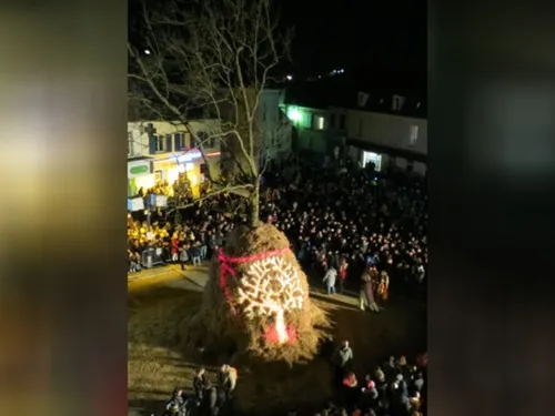 À Chambly, on recherche... un arbre