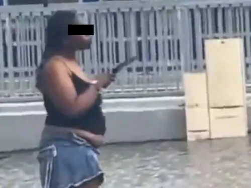 La Verrière : une femme tente de poignarder les policiers