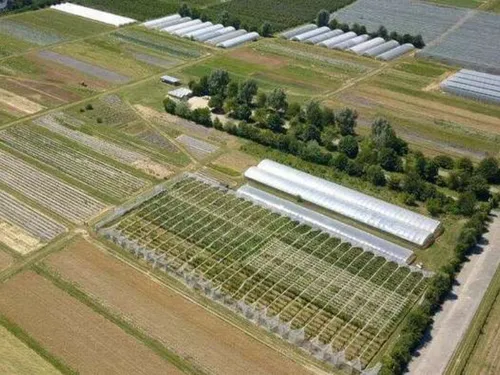La mobilisation pour la ferme-cueillette de Servigny a payé