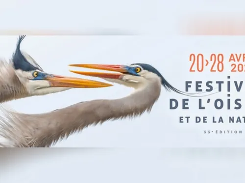 Des activités à foison lors du Festival de l'oiseau et de la nature...