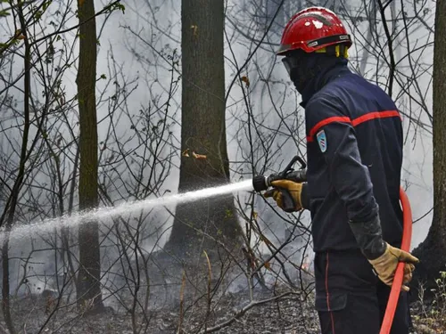 Les feux de forêts ont fait peu de dégâts en 20 ans dans l'Oise 