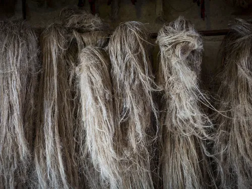 Les matériaux biosourcés occupent une part toujours plus importante...