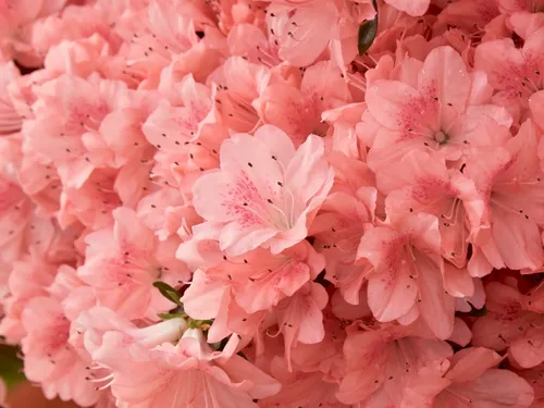 Les habitants de Saint-Quentin-en-Yvelines peuvent surveiller le...