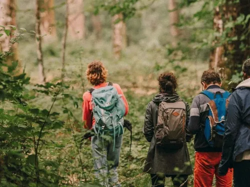Les Nuits des forêts reviennent en Île-de-France