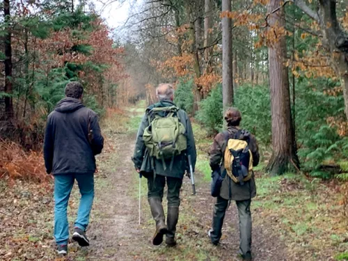 L'état de la forêt de Chantilly inquiète