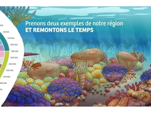 Plonger dans le passé géologique des Hauts-de-France, c'est...