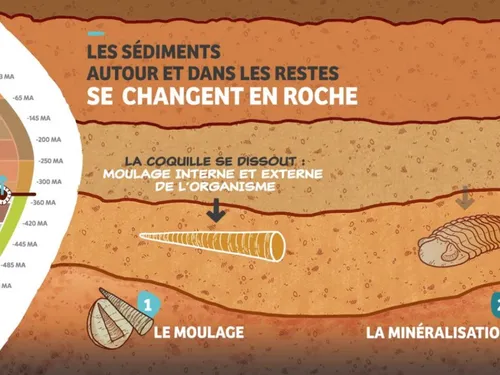 Le sous-sol des Hauts-de-France n'a pas fini de révéler ses secrets 