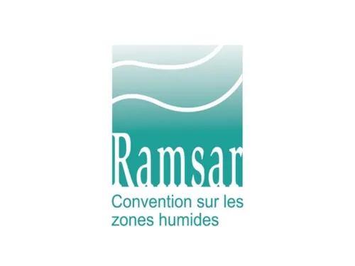 Les zones humides au cœur d'une table ronde à Amiens