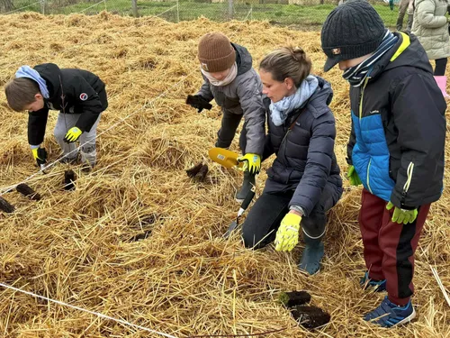 Une ancienne friche transformée en îlot de biodiversité à Chantilly