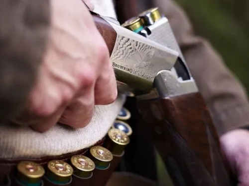 Les chasseurs et leurs chiens désormais interdits dans trois...