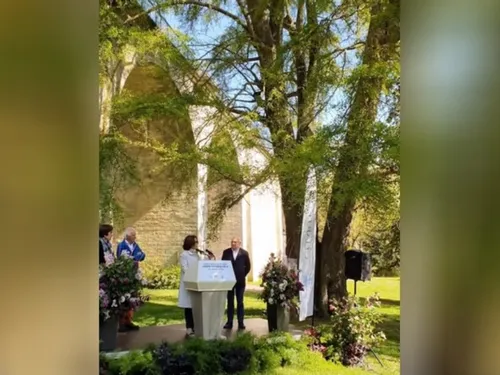 Un végétal de Chartres reçoit le label d' « arbre remarquable »