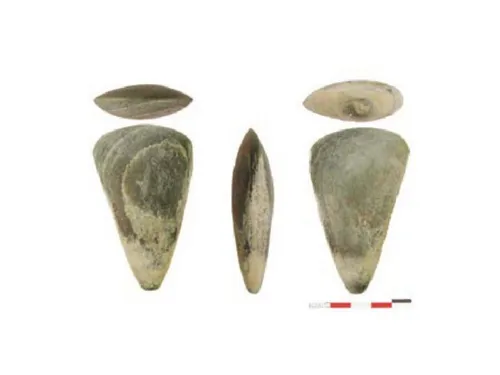 Canal Seine-Nord Europe : cinq ans de diagnostics révèlent 300.000...