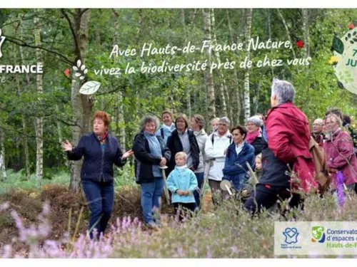 En juin, un rendez-vous attend les amoureux de la nature dans les...