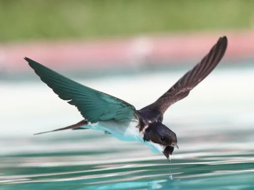 En Île-de-France, les rénovations de bâtiments menacent certains...