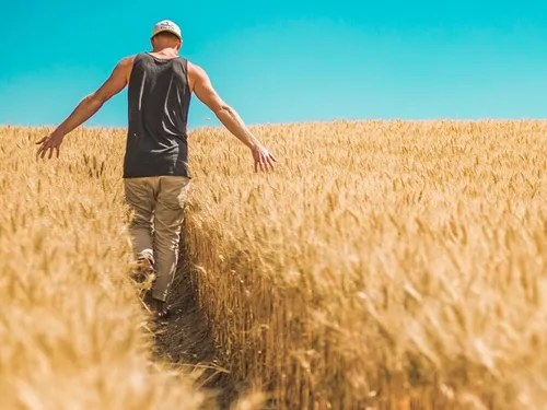 En Seine-et-Marne, le débat fait rage autour de l'artificialisation...