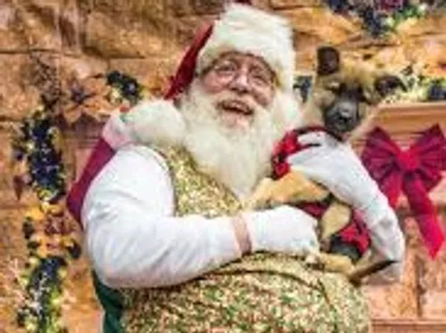 La Poste : le secrétariat du Père Noël a ouvert ses portes !