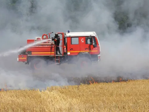 Seine-et-Marne : quinze hectares de champs détruits par un incendie