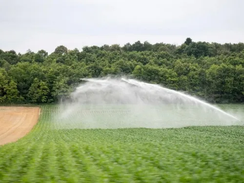 La gestion de l'eau agricole, un véritable enjeu en Île-de-France
