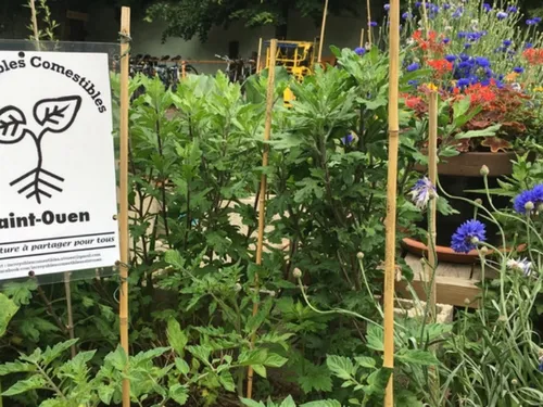 Belle réussite pour les jardins ouverts en Île-de-France