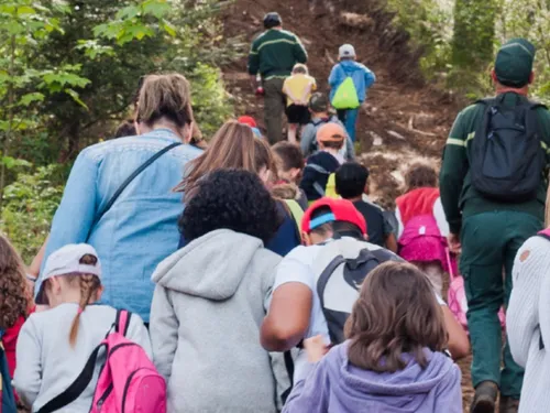 Dix ans déjà que la Forêt s’invite à l’École dans la Somme