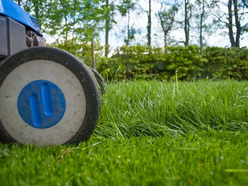 Des conseils pour éviter les accidents graves en jardinant dans...