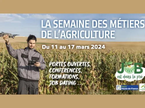 Dans les Hauts-de-France, « Le job est dans le pré »