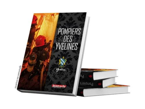 Les interventions marquantes des pompiers yvelinois immortalisées 