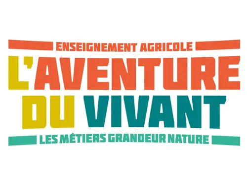 Le taux de réussite atteint des sommets dans les établissements...