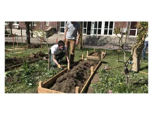 Hauts-de-France : la Coupe du Potager, de quoi faire pousser des...