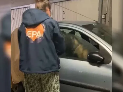 Seine-et-Marne : un chien secouru dans un parking souterrain