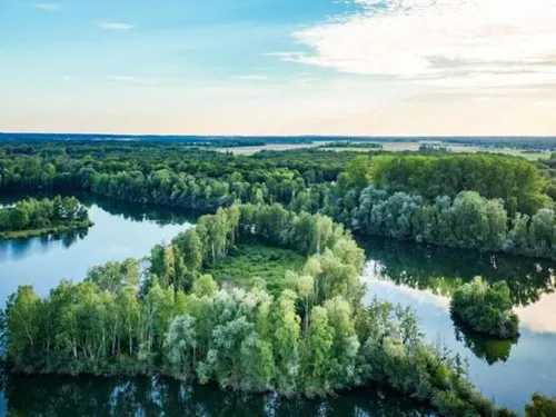 Le loto de la biodiversité au secours d'un marais des Hauts-de-France