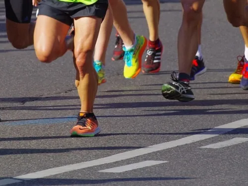 Un dimanche sportif à Fontainebleau !