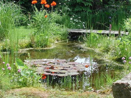 Un nouveau plan régional voit le jour pour créer (ou restaurer)...